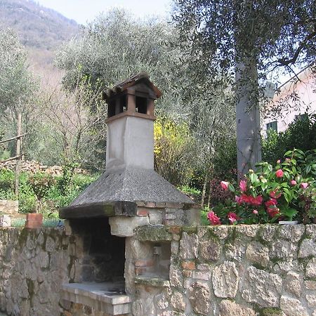 Il Castagneto Villa Teolo ภายนอก รูปภาพ