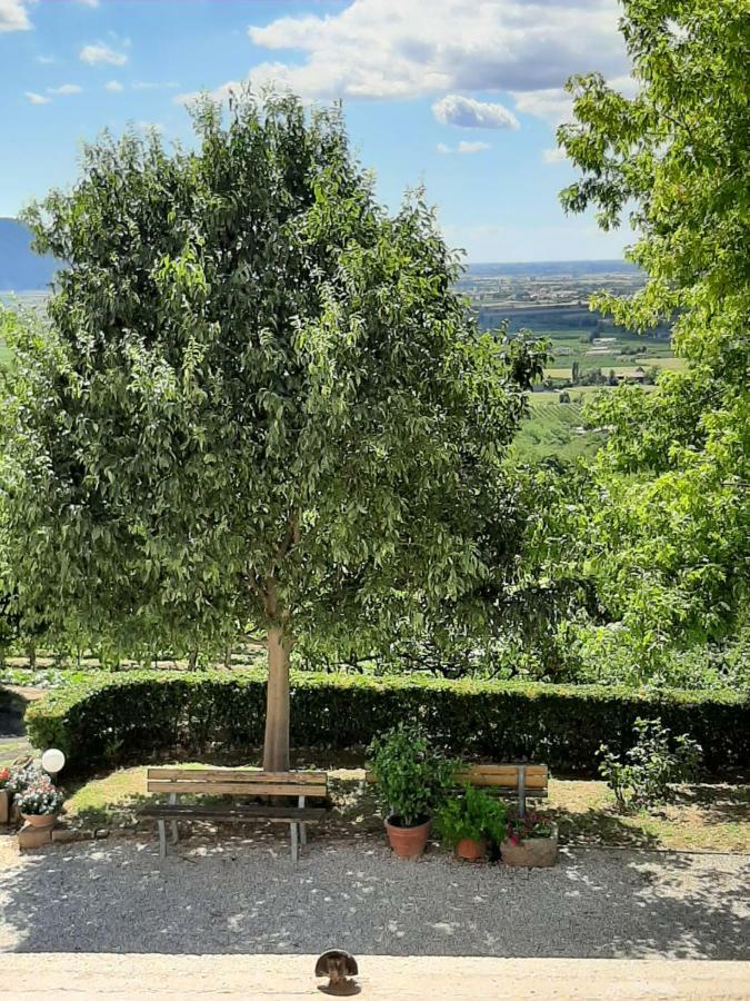 Il Castagneto Villa Teolo ภายนอก รูปภาพ